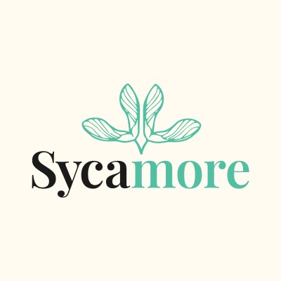 Public Relations Account Manager