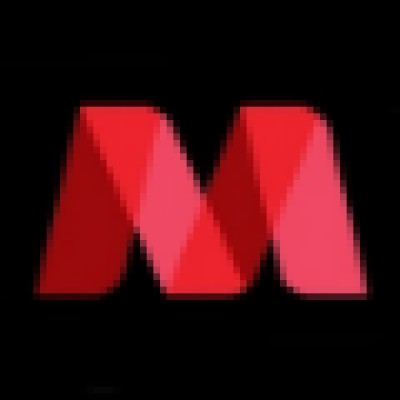 Assistant Auditor