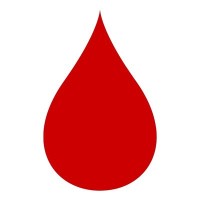 Program Coordinator/ Media Relations