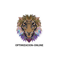 Ejecutiva de Cuentas SEO | Project Manager
