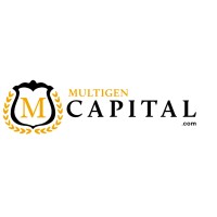 Fractional Chief Executive Officer (CEO)