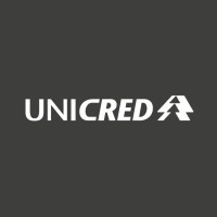ACCOUNTING ANALYST