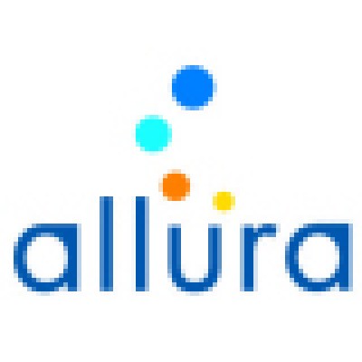Management Consultant/Director