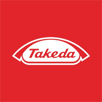 Senior System Engineer Team Lead