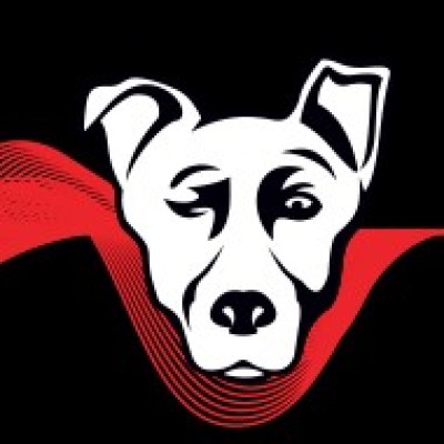 Marketing Director
