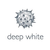 Digital Project Manager
