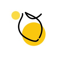 Software Developer
