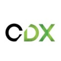 Account Director