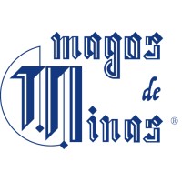 Diretor executivo