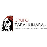 Analista de calidad
