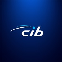 Data Analytics Auditor