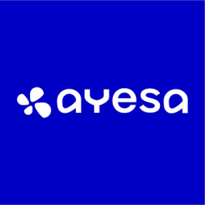 Senior Design Site Representative