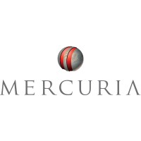Senior Business Analyst