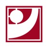 Gerente de ingeniería