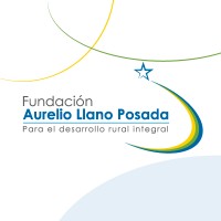 Directora ejecutiva