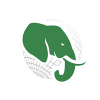 Virtual CFO Contractor