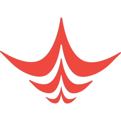 Software Developer