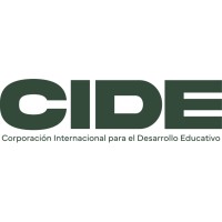 Docente Universitario
