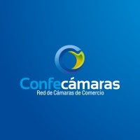 Junior Consultant