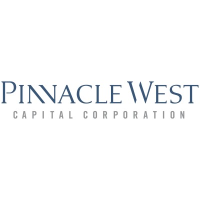 Senior Investor Relations Analyst