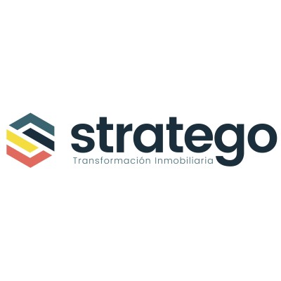 Director de proyecto
