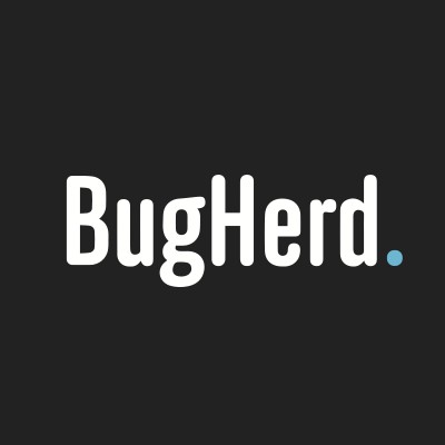 Software Developer