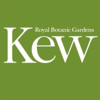 Records Assistant