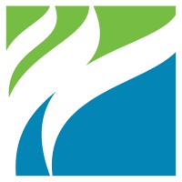 Director of Purchasing