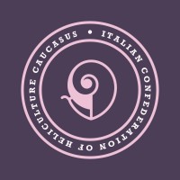 Marketing Consultant