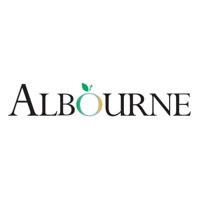 Data Analyst