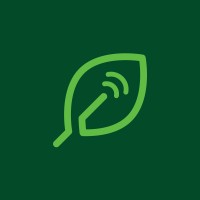 Sales and Business Developer
