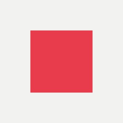 Risk Analyst