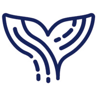 Senior Customer Success Manager