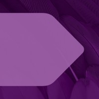 Talent Coordinator