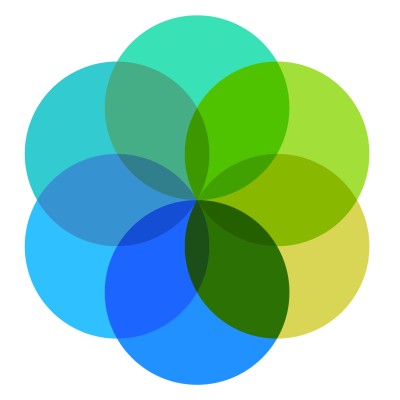 BPM Business analyst and Project Manager