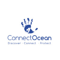 Intern/ Project Manager