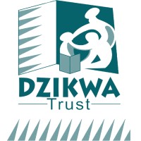 Information Technology Assistant