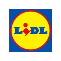 Junior Project Manager Logistics