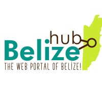 Web Developer