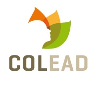 Consultor profesional