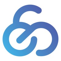 Project Leader and Business Analyst