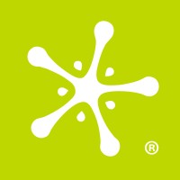Junior Product Designer