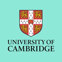 Information Technology Support Technician