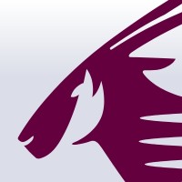 Performance Manager Qatar Executive