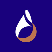 Regional Wellbeing & Engagement Strategy Manager