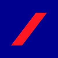 Financial Consultant