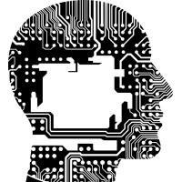 Owner, Solution  Architect, Engineer, Trainer