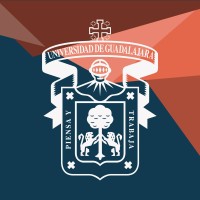 Profesor de diseño gráfico