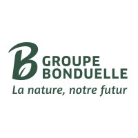 Junior Brand Manager