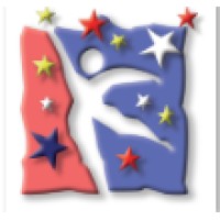Business Process Analyst